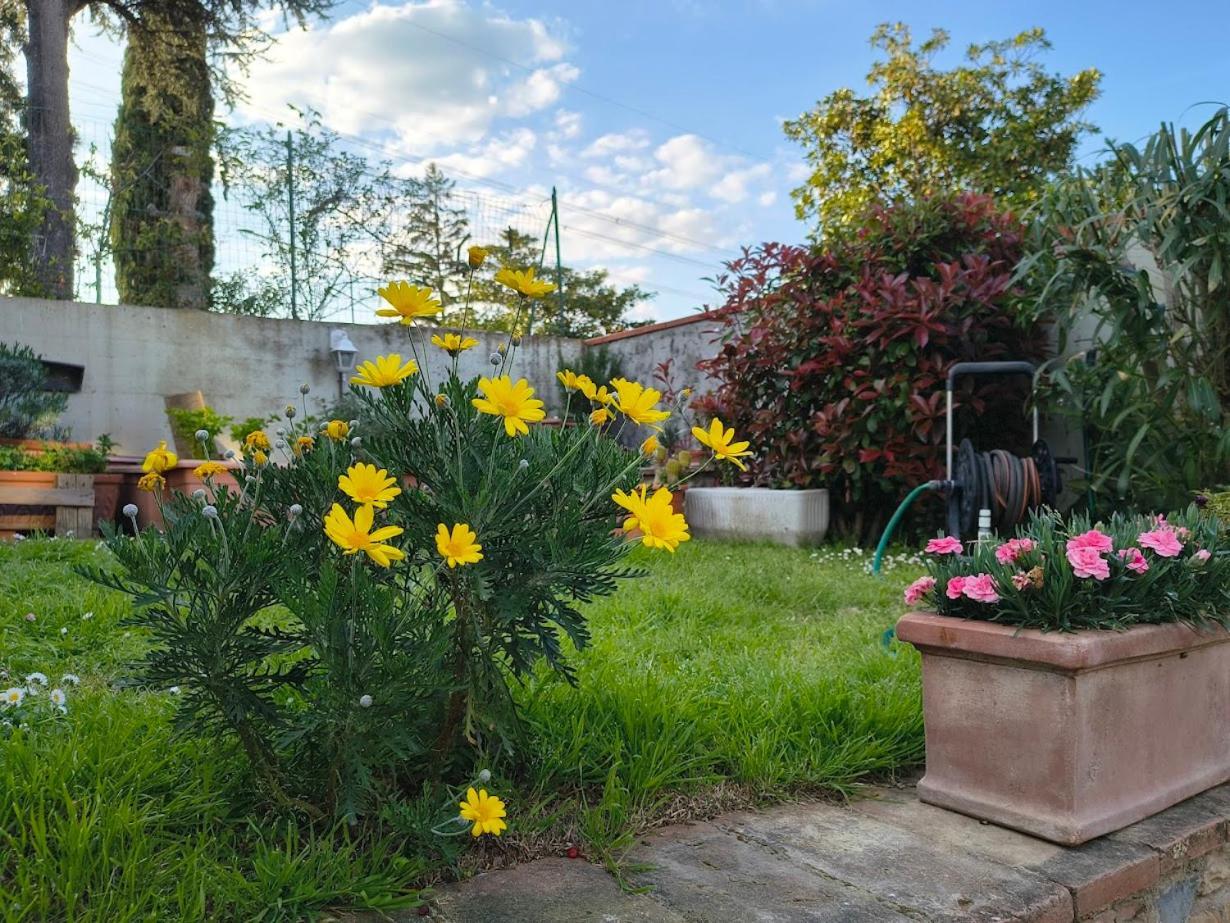 Apartmán La Giravolta Loft Urban & Gea Montelupo Fiorentino Exteriér fotografie